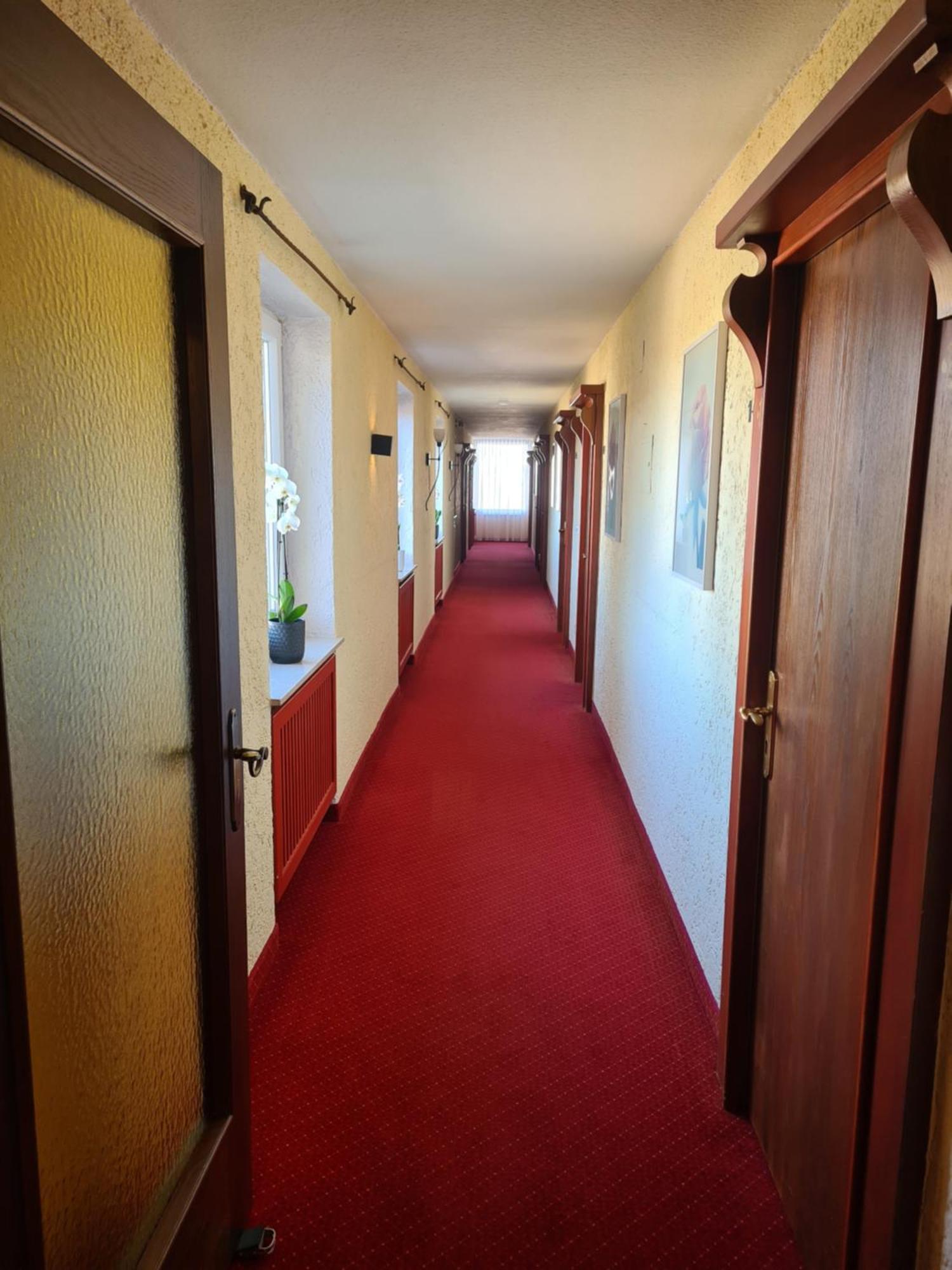 Hotel Birkenmoor Scheidegg Extérieur photo